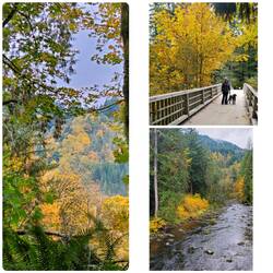 Fall Colors at Wildwood