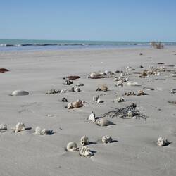 Shells for Miles