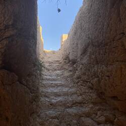 Findet ihr die Katze?😉