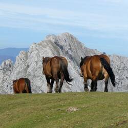 Vandring i den regionale naturpark Urkiola