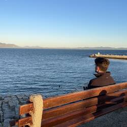 Unsere Walbeobachtungsbank