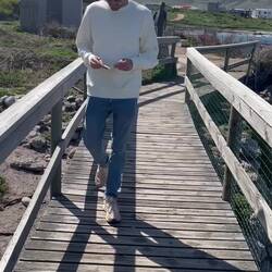 Stony Point Pinguine