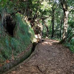 Entlang der Levada Serra do Faial