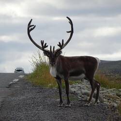 Ich heiße Thorsten. Und du?