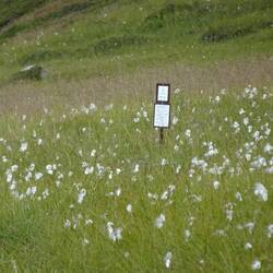 Grenze des Naturreservats - jetzt wird's sumpfig.
