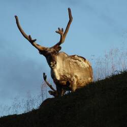 Kennen wir uns? 🤔