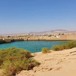 Israel et la ville d'Eilat sont immédiatement derrière la rangée d'arbres