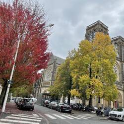 Autumn colours