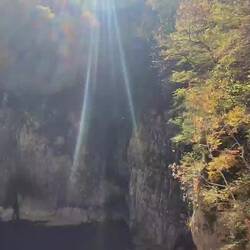 Die Blätter treibt der Aufwind wieder hoch