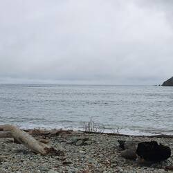Cable Bay