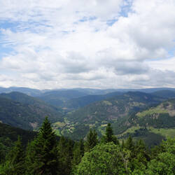Ausblick vom Hochkopf-Aussichtsturm
