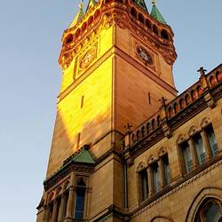 Goldener Oktober in Braunschweig 🏫🍃🍁