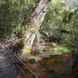 Bridge over crystal brook