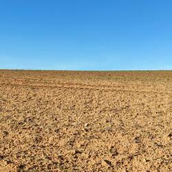 De la terre à perte de vue...