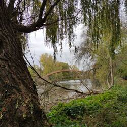 Katzenbuckel Brücke