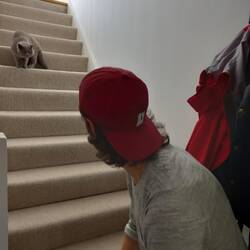 Hello Pebbles! 🐈‍⬛😁