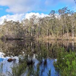Shannon Dam