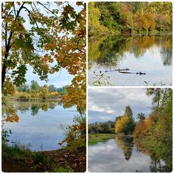 Delta Ponds