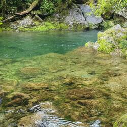 The Riwaka River