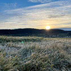 Frostiger Sonnenaufgang