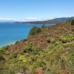 High above Coquille Bay