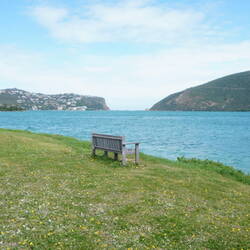 Leisure Isle oder Disney