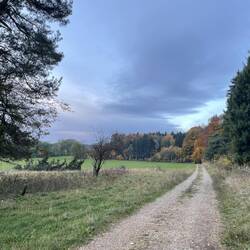 Morgenstimmung bei Risiberg