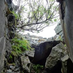 ... und noch einer, halb zugewachsen.