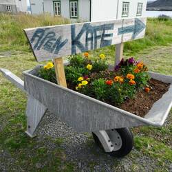 Geöffnet? Nix wie hin!