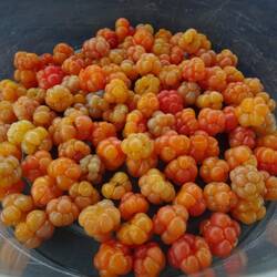 Das hat sich gelohnt! 😋