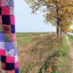 Sur le route de Reliegos, les arbres sont décorés