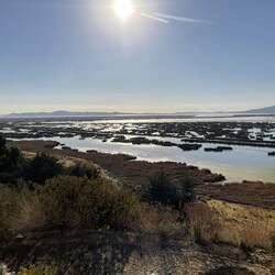 A bay of Lake Titicaca (view from our room)