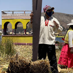 Demonstration of cutting the reed roots