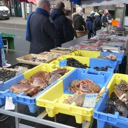Marked i Paimpol