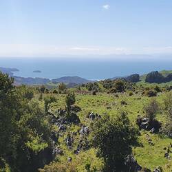 From Takaka Hill looking ahead to Golden Bay