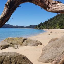 The beach at Goat Bay