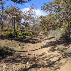 Enfin des chemins sympa !!