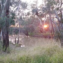 Condamine River