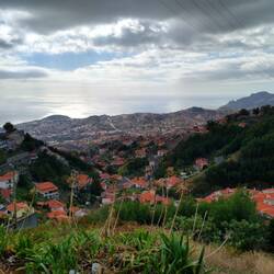 Blick auf Funchal
