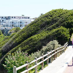 Vom Winde verweht... Der Baum auch 😅