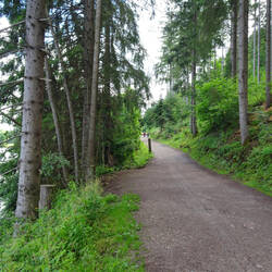 Die östliche Variante verläuft zunächst am Titisee entlang nach Bärental