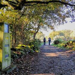 Les kilomètres qui diminuent au fil des bornes