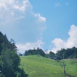 Irgendwo da muss Gregor sein???