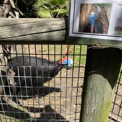 wusste nicht dass es dich gibt 😳