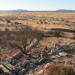 Toilette mit Ausblick ☀️💩