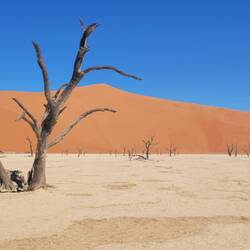 Deadvlei