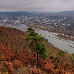Die Nahemündung bei Bingen!