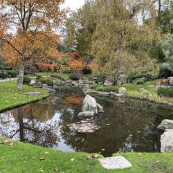 Kyoto garden in Holland Park