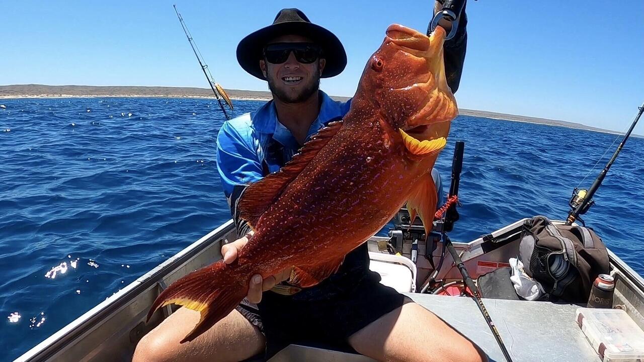 Corination trout, yum yum