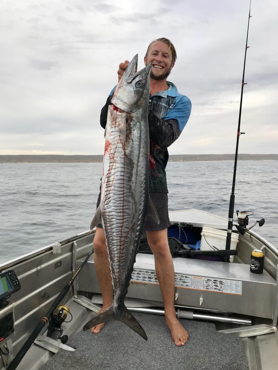 Not just the tail this time 🤗🤙